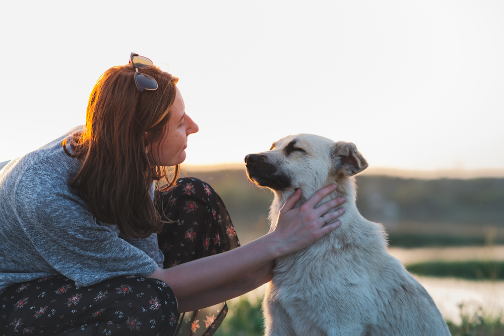 Benefits of an Emotional Support Pet - Joanne Martelli Blog